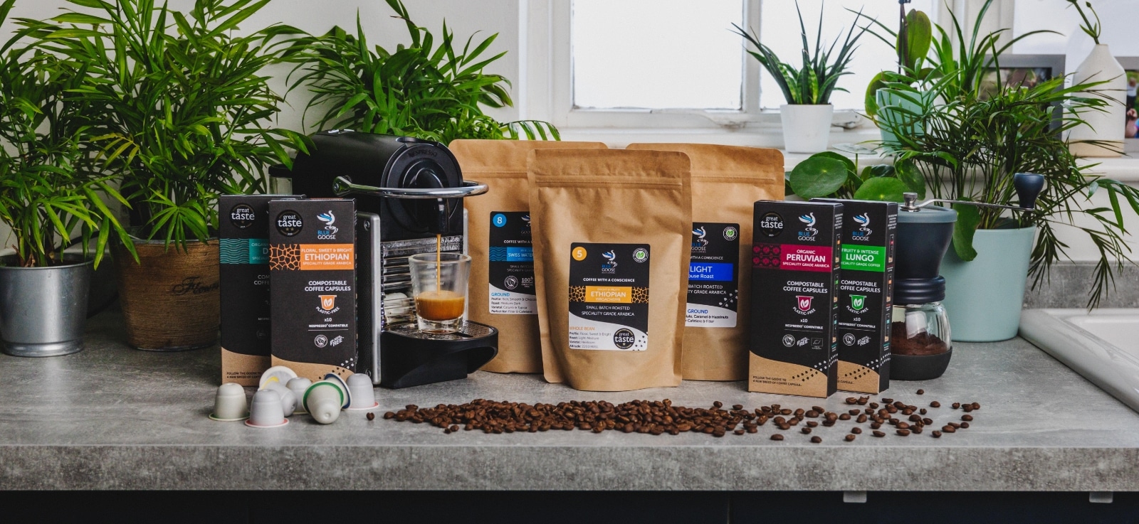 Plastic Free nespresso coffee pods bean ground coffee in compostable coffee pouch bags Blue Goose Eco Coffee